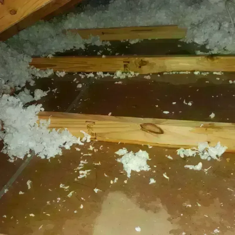 Attic Water Damage in Richfield, UT