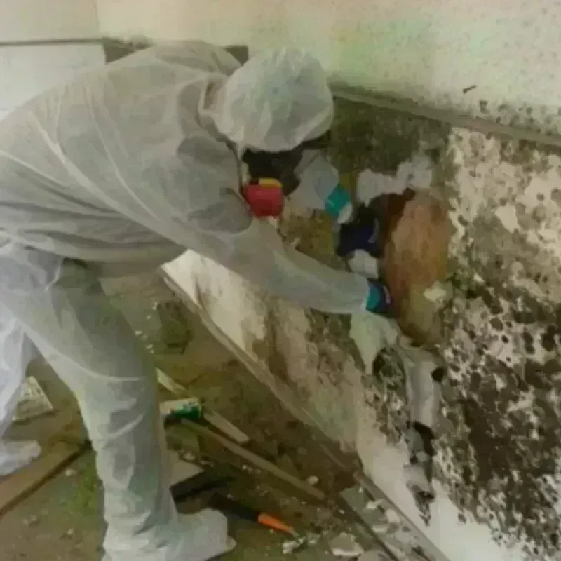 Mold Remediation and Removal in Richfield, UT