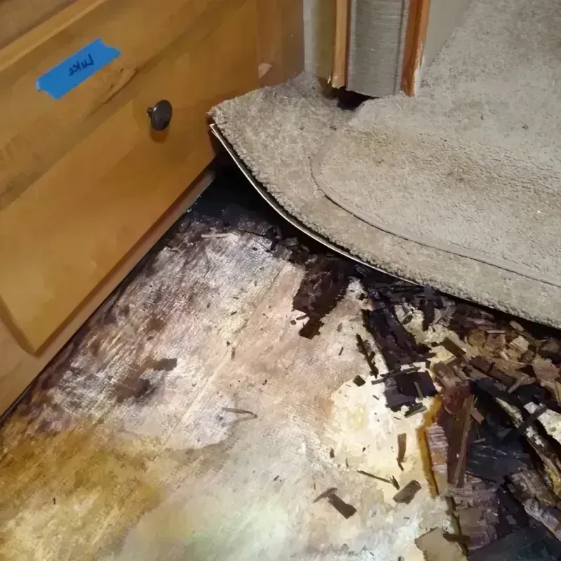 Wood Floor Water Damage in Richfield, UT